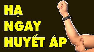 Great Tips for Acupressure to Immediately Cure Blood Pressure | HYT3