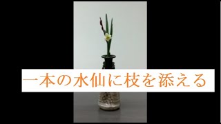 一本の水仙に添えの枝をつける