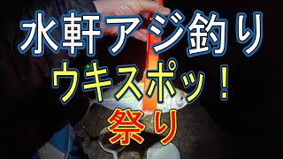 【良型アジ】まだまだ釣れてます！ウキスポッ多数あり！