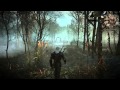 The Witcher 3: Wild Hunt - E3 Swamps Gameplay - Eurogamer