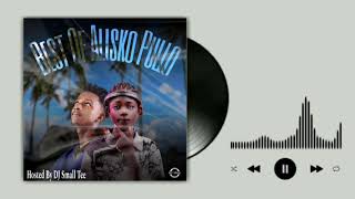 DJ Small Tee - Best Of One Alisko Pullo (Officiel Fulani Mixtape 2024)