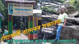 কাকৈজানা সংৰক্ষিত বনাঞ্চল/ সোণালী বান্দৰৰ বসতিস্থল/ A Travel Vlog