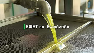 ΕΦΕΤ και ΕΛΑΙΟΛΑΔΟ