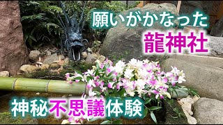 願いがかなった龍神社　神秘不思議体験