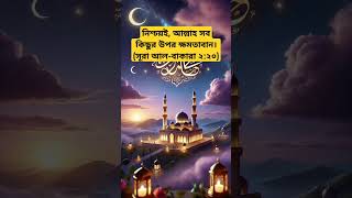 নিশ্চয়ই, আল্লাহ সব কিছুর উপর ক্ষমতাবান।(সূরা আল-বাকারা ২:২০)#shortvideo #short #viralvideo