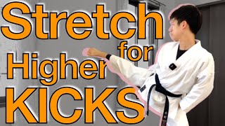 How To Kick Higher! 4 Types of Stretches!