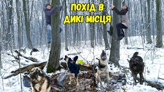 ПОХІД В ДИКИЙ ЛІС З НЮАНСАМИ / СМАЧНА СТРАВА В ЗИМОВОМУ ЛІСІ