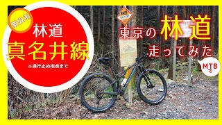 【MTB動画】東京のグラベル林道「林道真名井線」をマウンテンバイクで走ってみた