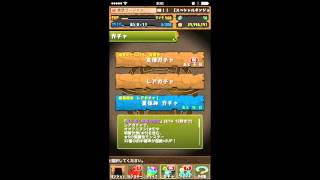 【パズドラ】夏休みガチャ１０連引いてみた【ゆっくり】