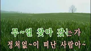 린-이야  가사 영상으로 노래 배우기(현역가왕)