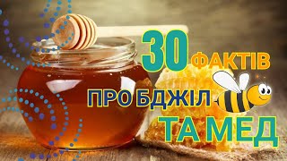 30 фактів про бджіл🐝 та мед🍯