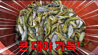 5년 동안 어로 행위를 안한 곳에서 통발을 설치하면 생기는 일