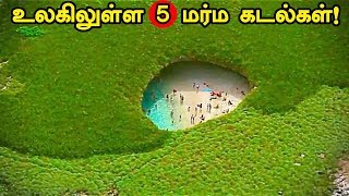 உலகில் உள்ள விசித்திரமான 5 கடல்கள்