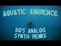 Aquatic Ambience || Played On Real 80's Synths