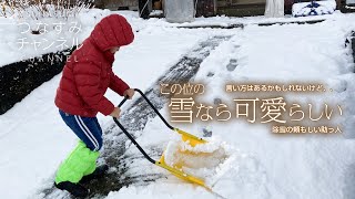 言い方はあるかもしれないけど、、このくらいの雪なら可愛らしい。除雪の頼もしい助っ人。