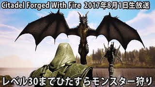 レベル30までひたすらモンスター狩り 【 Citadel Forged With Fire 生放送 2017年8月1日】