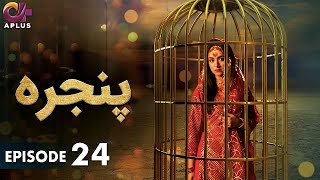 Pakistani Drama | Pinjra - Episode 24 | Aplus Gold | Yumna Zaidi, Nauman Aijaz | CZ1O