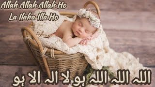 la ilaha illallah muhammadur rasulullah | La ilaha illa Ho | Islamic Lori | Islami Lori | Baby Lori