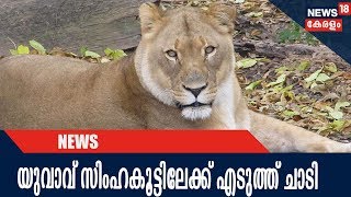 മദ്യലഹരിയില്‍ യുവാവ് തിരുവനന്തപുരം മൃഗശാലയിലെ സിംഹകൂട്ടിലേക്ക് എടുത്ത് ചാടി;  ജീവനക്കാര്‍ രക്ഷിച്ചു