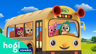 Las Ruedas del Bus + Cinco Autobuses Saltando en la Calle | Canciones Infantiles | Hogi en español