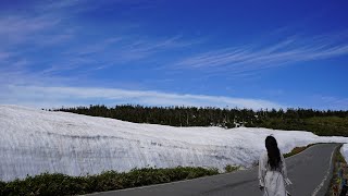 【ドライブと大自然】八幡平アスピテーライン雪の回廊など　岩手県