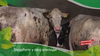 Veterinari bez granica ep. 303 26.02.2025. NAJAVA