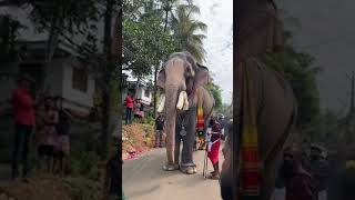 രാമരാജാവ് കുന്നംകുളത്തിന്റെ മണ്ണിൽ രാജേകീയ വരവേൽപ്പ് 🔥