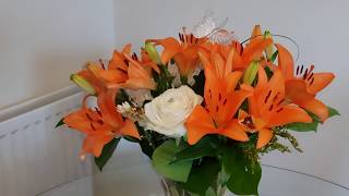 Orange lilies