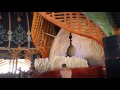 Ozora 2017 misc part 4