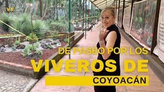 👩🏼‍🌾  De paseo por los VIVEROS DE COYOACÁN