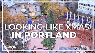 Christmas tree arrives at Pioneer Courthouse Square