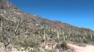 Hewitt Canyon