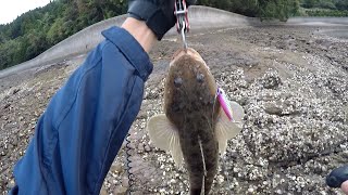 Don't give up! There may be a flathead at the lizard point! ?? Light Shore Jigging Gari Fishing