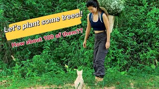 EP.11 Let’s start to plant some trees | 光秃秃的农场终于开始种树了