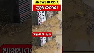 Odisha Flood | ଭଦ୍ରକ ଜିଲ୍ଲା ଆଖୁଆ ପଦାରେ ଫୁଲୁଛି ବୈତରଣୀ ନଦୀ | Shorts | Odisha Rain