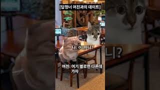 답정너 여친과의 데이트 #코미디 #고양이 #고양이밈 #데이트 #답정너