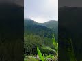 Pemandangan Gunung Andong #shortvideo #mountains #ytshorts