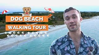 Best Dog Beach in Tampa Bay FL... Hands Down