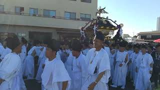 令和五年常陸國総社宮大祭還幸祭 総社宮大神輿渡御 #石岡のおまつり #茨城県 #石岡市 #神輿