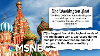 Senate Intel Report Details Extensive Russian Interference In 2016 Election | Deadline | MSNBC