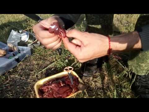 Смотреть только лучшее Смотреть только лучшее