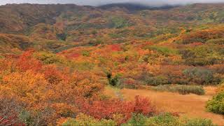 【旅エイター】紅葉前線『鳥海山①』　秋田県由利本荘市・一人旅