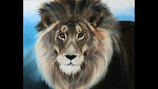 How to draw a lion in oil.