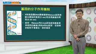 高中必修生物、選修生物I_遺傳與生物工程_現代分子遺傳學_Part 2 基因的分子作用機制_何盧勳