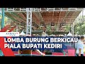 Ratusan Peserta Ikuti Lomba Burung Berkicau Piala Bupati Kediri