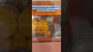 搾りたてのオレンジジュースが飲める自販機 #short #shorts #FEEDMEORANGE #ポップなビート