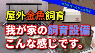 【屋外ガラス水槽金魚飼育】飼育設備・機材についてご紹介します！！