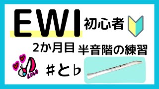 【EWI 初心者】EWI SOLO 半音階の練習　　運指　シャープとフラット