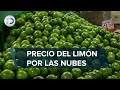 ¿Por qué tan caro? Aguacate y limón llegan hasta 90 pesos el kilo en mercados del país