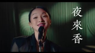 周迅「夜來香」♪ღ 歌詞 (简体)字幕版